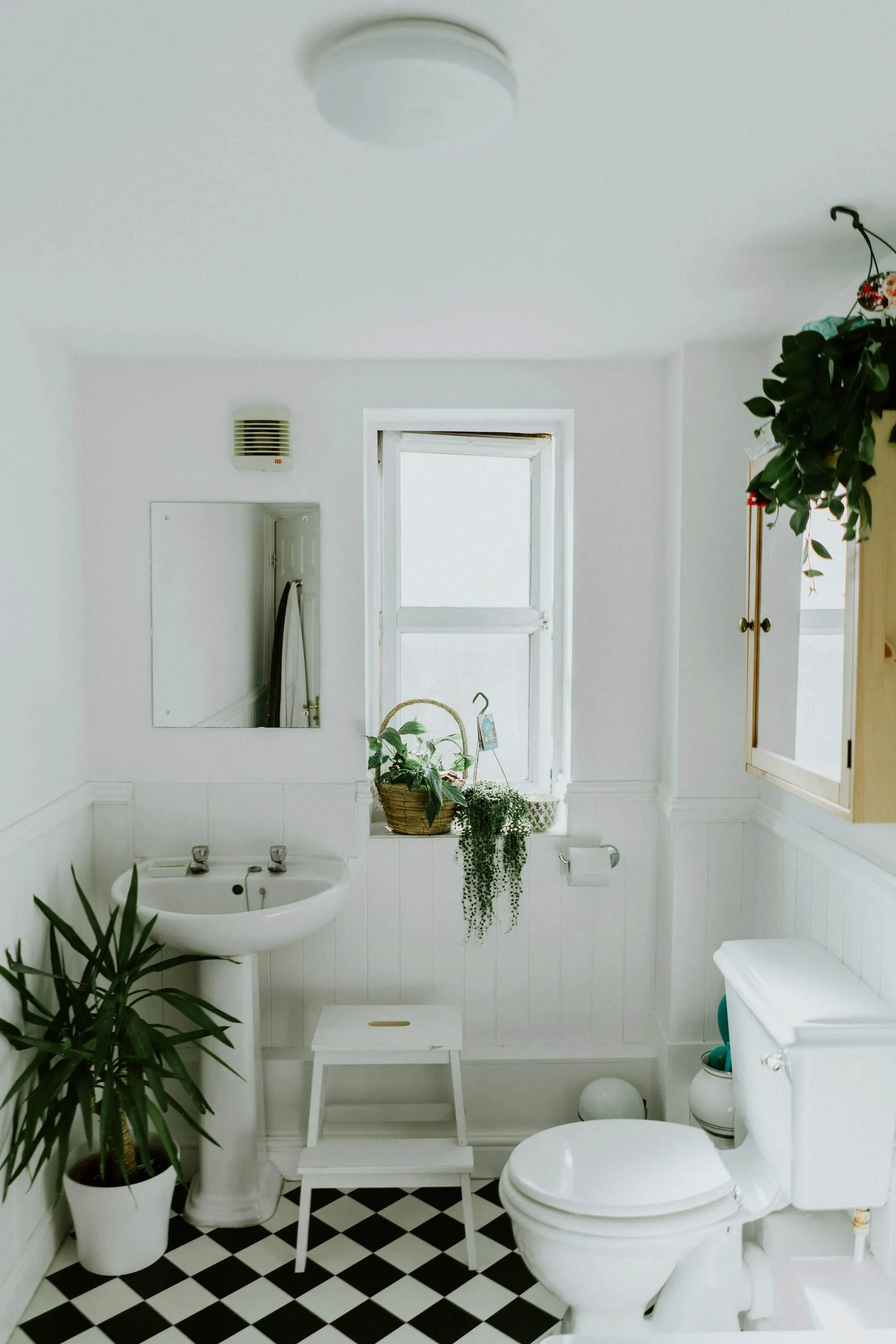 Modern Living Sanitaryware Collection
